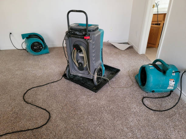 Best Flood restoration services  in Bowie, MD